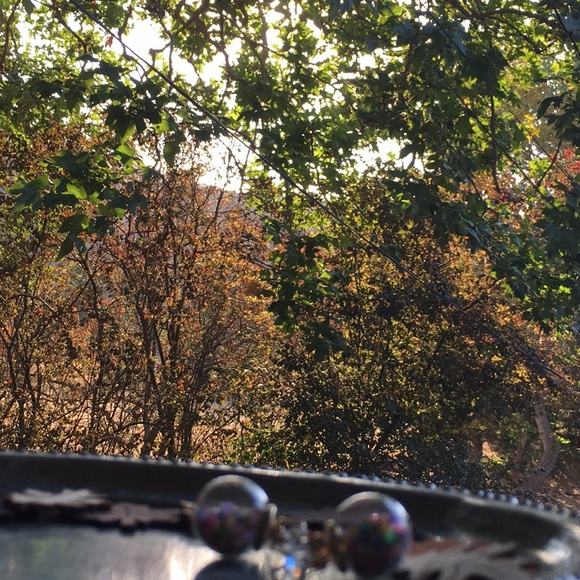 Rainbow Double Stud Earrings - Picture 5 of 6